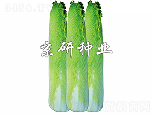 ����70-�ײ˷N��-���зN�I