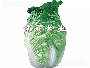 ����75̖-�ײ˷N��-���зN�I