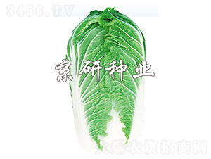 ����701-�ײ˷N��-���зN�I