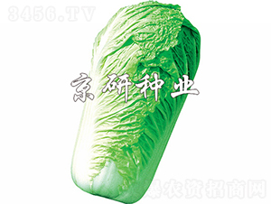 ������3̖-�ײ˷N��-���зN�I