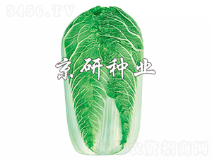 ����5̖-�ײ˷N��-���зN�I