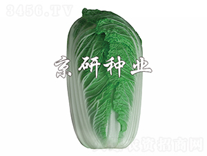 �����ۼt2̖-�ײ˷N��-���зN�I