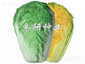 �����ۼt3̖-�ײ˷N��-���зN�I