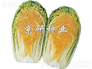 �����ۼt��-�ײ˷N��-���зN�I