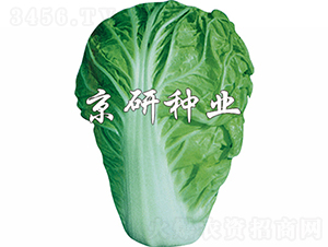 ����1̖-�ײ˷N��-���зN�I