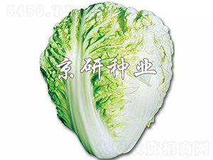 ������-�ײ˷N��-���зN�I