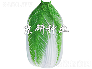 �����S3̖-�ײ˷N��-���зN�I