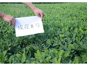 �ɻ�8̖-�����N��-���S�N�I