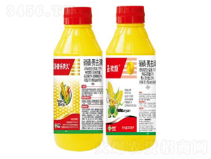 25%���ǡ�ݬȥ��ɷ�ɢ�͑Ҹ���-����-��g�-���՘�