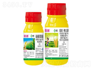 ������-���՘�