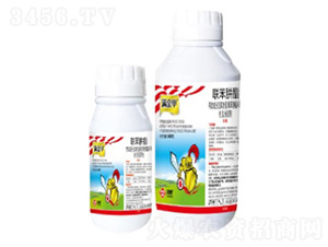 43%�������Ҹ���-�M���-���՘�