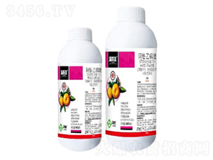 12%���S��������Ҹ���-�M����-���՘�