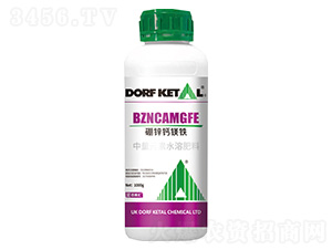 ���\�}�V�F-����P��