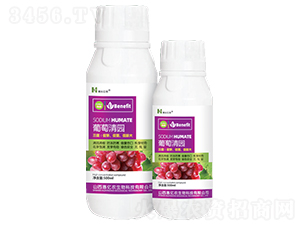 葡萄清園-惠利億農