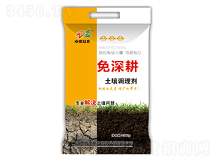 �����{�턩-�����-�е����r