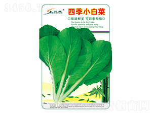 �ļ�С�ײ�-С�ײ˷N��-�S�A�N�I