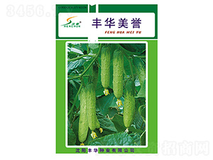 �S�A���u-�S�ϷN��-�S�A�N�I