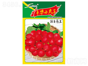 �S�AС����-�}���N��-�S�A�N�I