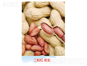 �����t����-�����N��-�S�A�N�I