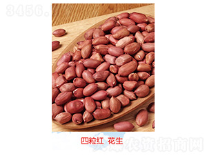 �����t����-�����N��-�S�A�N�I