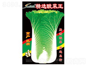 ���x�����-�ײ˷N��-�S�A�N�I