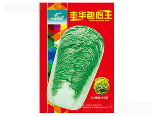 �S�A������-�ײ˷N��-�S�A�N�I