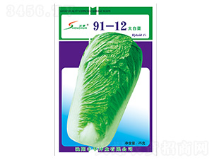 91-12��ײ�-�ײ˷N��-�S�A�N�I