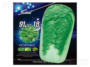 91-18-�ײ˷N��-�S�A�N�I