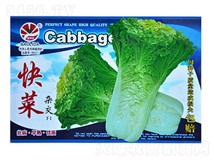 ����s��F1-��˷N��