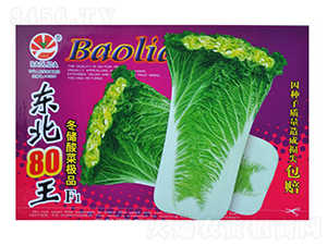 �|��80��-��˷N��