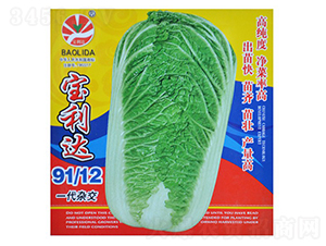 �����_(d��)91��12-��˷N��