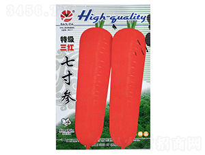 ���t�ߴ煢-�}���N��