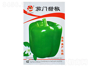 ���T��-�����N��