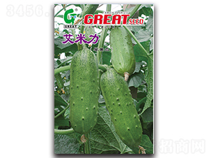 ������-�S�ϷN��-�V��