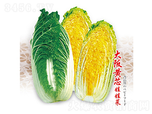 �����Sо���޲�-���޲˷N��-��Ʒ�r�I