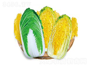 ��ʿ�������޲�-���޲˷N��-��Ʒ�r�I