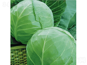 ���m�G��9̖-���{�N��-��Ʒ�r�I