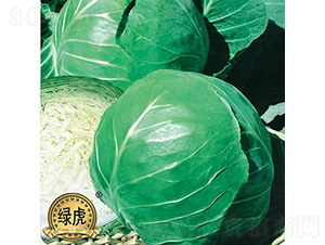 ����-���{�N��-��Ʒ�r�I