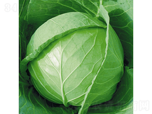 ����-���{�N��-��Ʒ�r�I