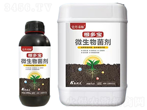 ������΢�������-ʷ���̎�-�P���