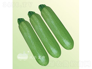 ��������108F1���ͺ��߮a�;G�������J��-�����J�N��-�֠���˹