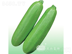 ��������208F1���߮a��G���������J��-�����J�N��-�֠���˹