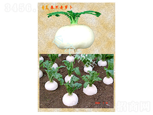 �������}��-�}���N��-�_�r�N��