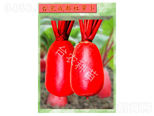 �ɶ��t�}��-�}���N��-�_�r�N��