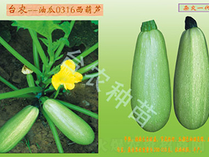 0316�����J-�����J�N��-�_�r�N��