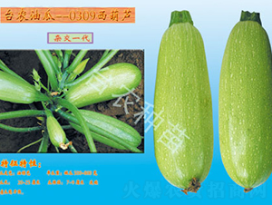 �_�r0309�����J-�����J�N��-�_�r�N��