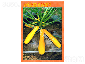 �_�r���1017�����J-�����J�N��-�_�r�N��