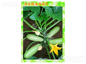 �_�r�G�������J-�����J�N��-�_�r�N��