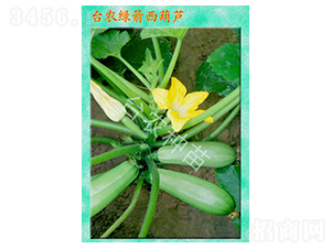 �G�������J-�����J�N��-�_�r�N��