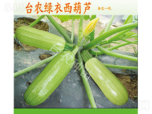 �_�r�G�������J-�����J�N��-�_�r�N��